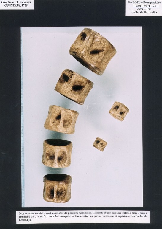 014e0270_prent07.jpg