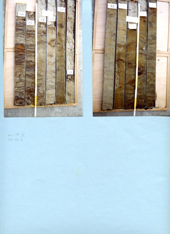 017w0264-nova 46-56 m