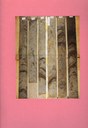 018w0349-arendonk-b2-005.jpg
