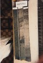 073E0310_foto 5.jpg