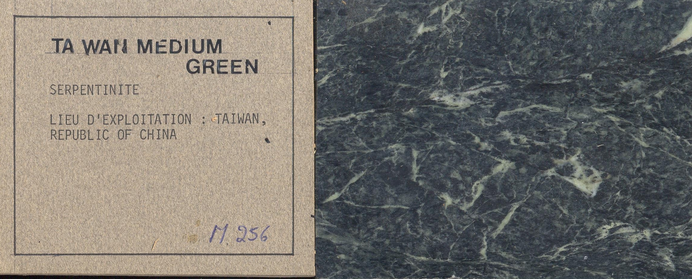 Taiwan Medium Green M256
