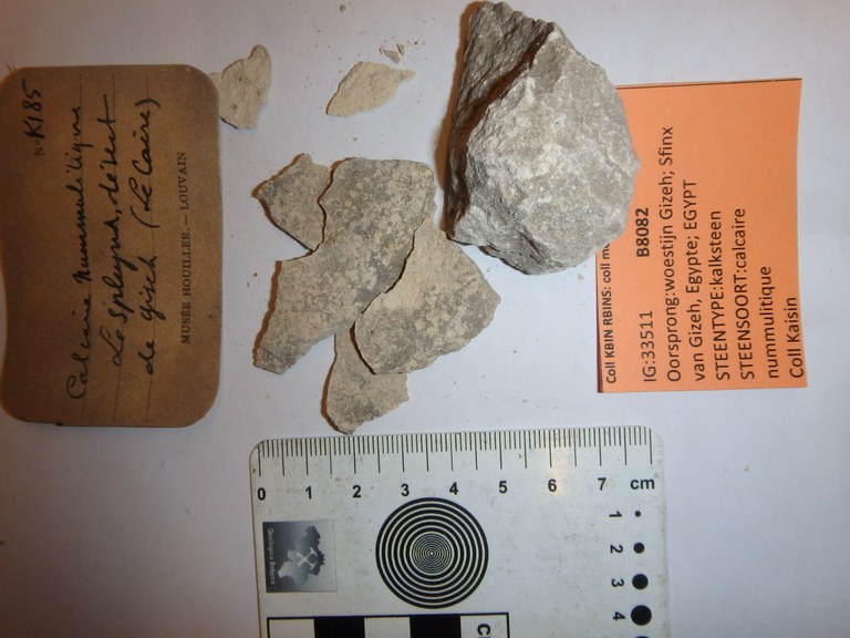 B8082 kalksteen
