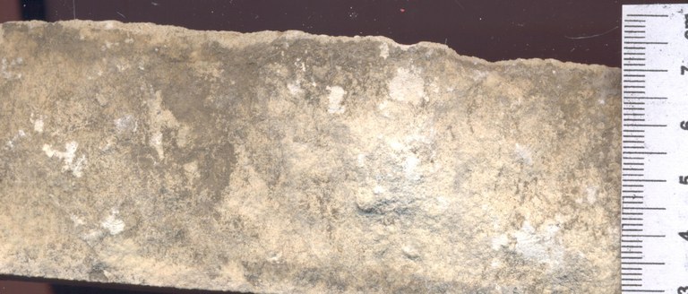 B0366 Migné.jpg