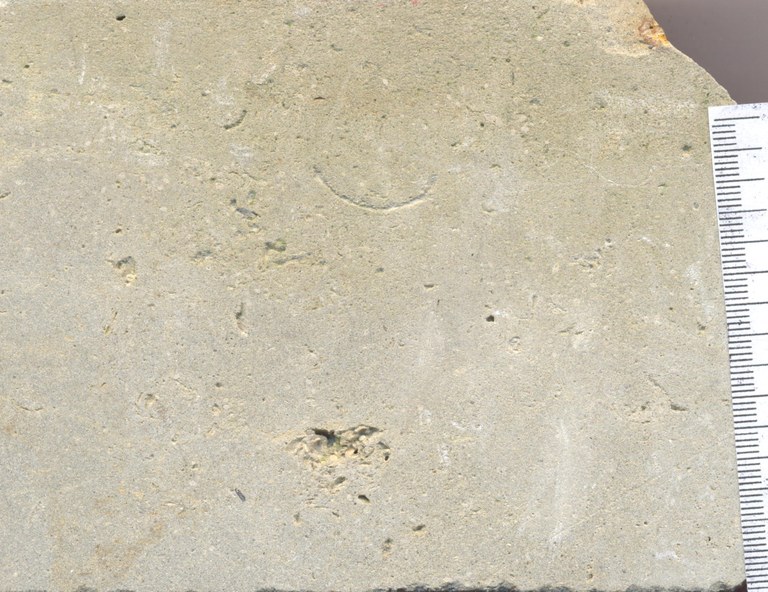 B0369 Ledesteen.jpg