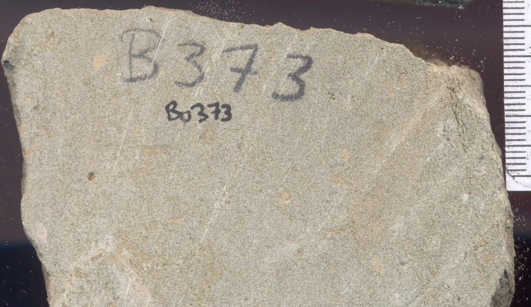 B0373 Ledesteen.jpg