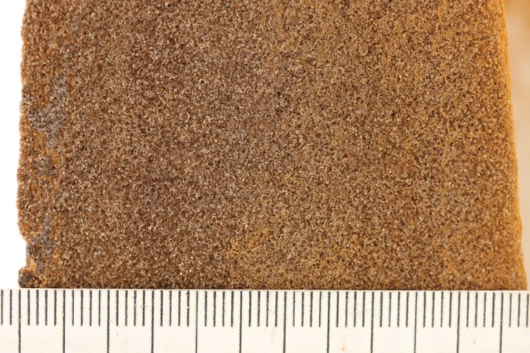Brusseliaan Ijzerzandsteen B0516