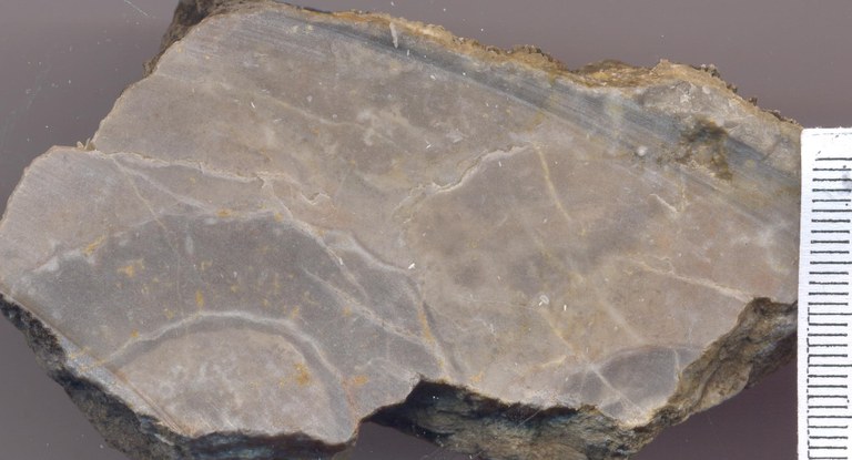 B0844 senzeille groevemonster.jpg