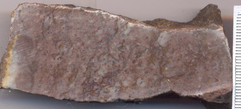 B0852 senzeille groevemonster.jpg