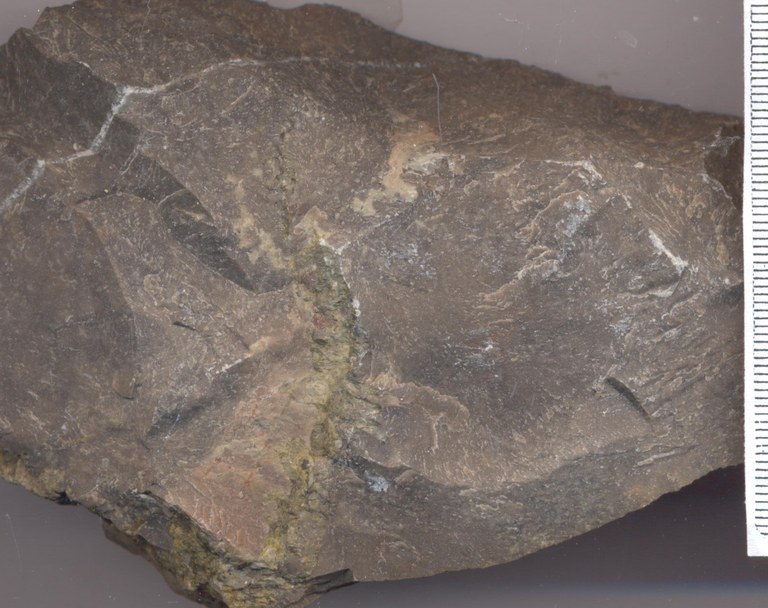 B0853 senzeille groevemonster.jpg