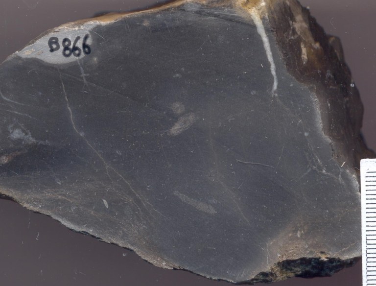 B0866 merlemont groevemonster.jpg