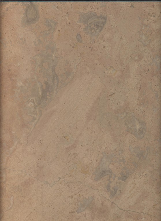Malplaquet pâle (gris rosé) E074