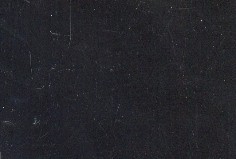 Noir de Golzinne M1070