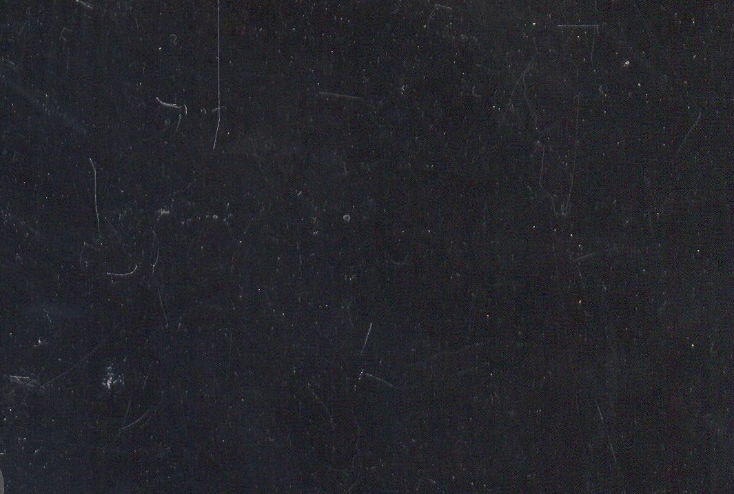 Noir de Golzinne M1070