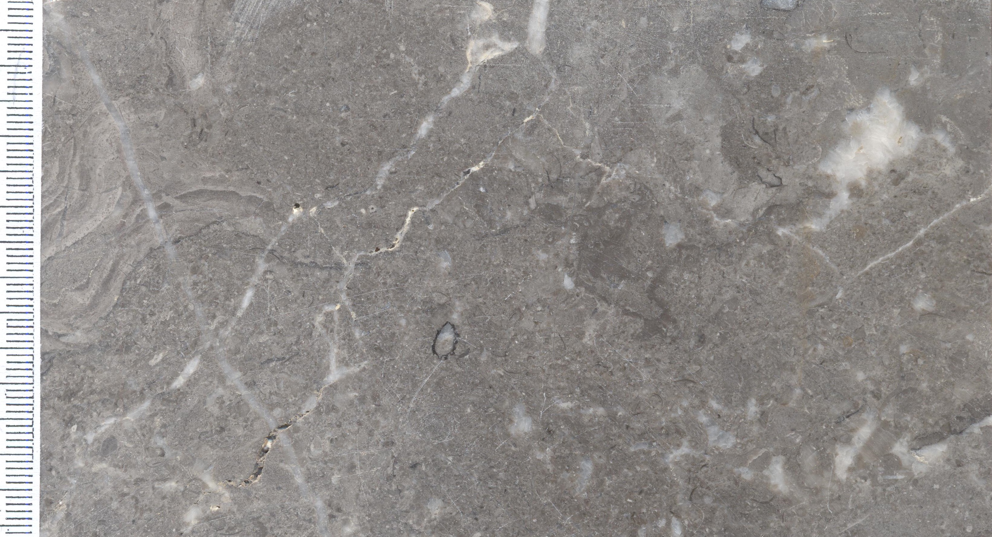 Calcaire De Frasnes M1413  