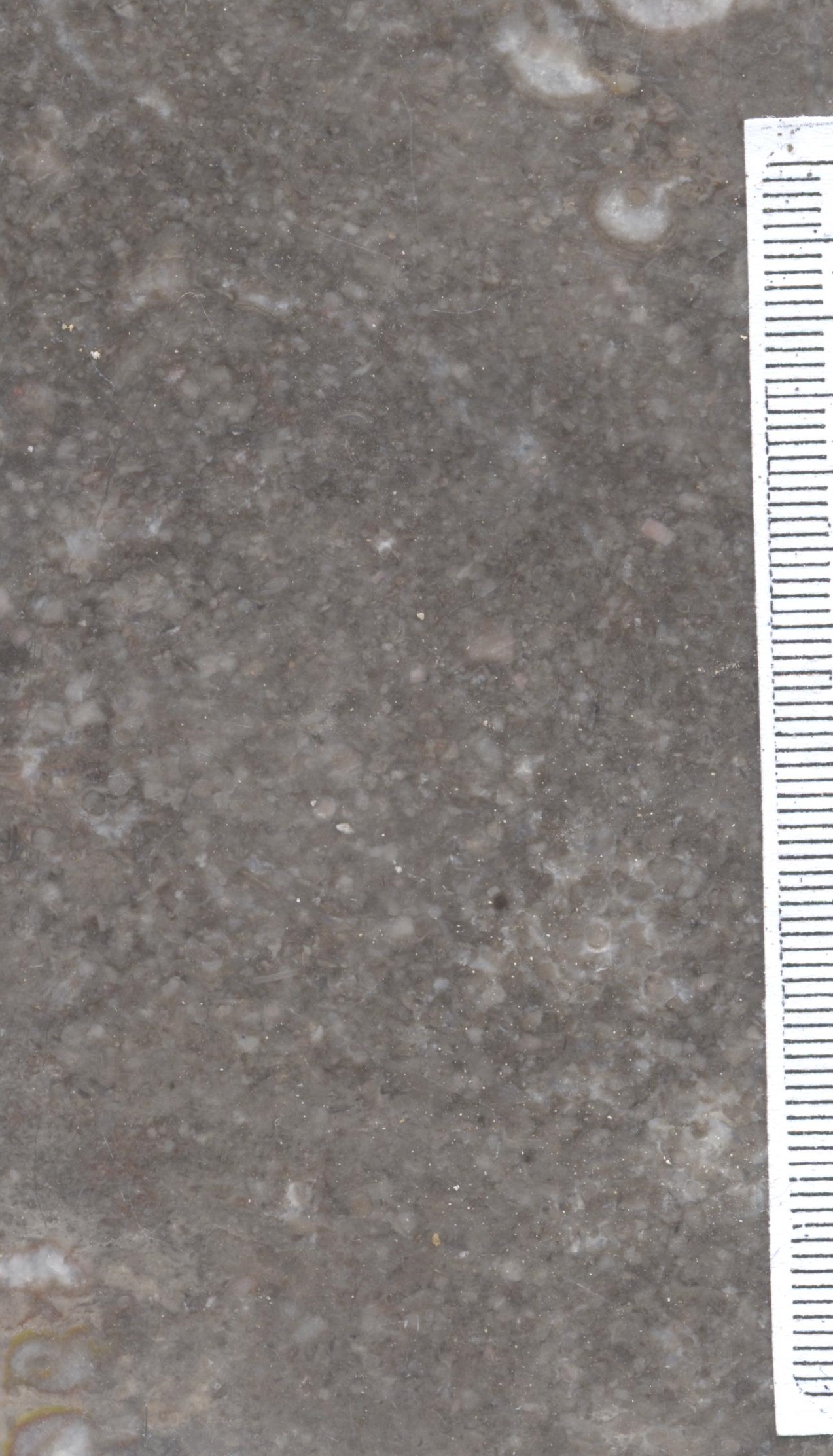 M1549 marbre gris Neuville BE.jpg