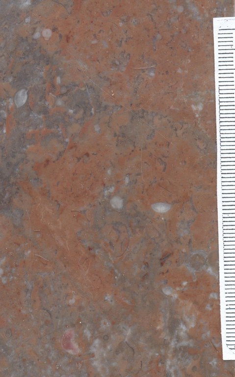 M1559 marbre rouge Neuville BE.jpg