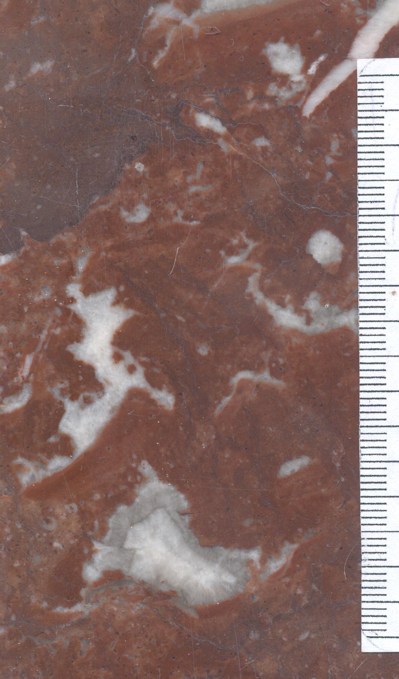 M1560  marbre griotte BE.jpg