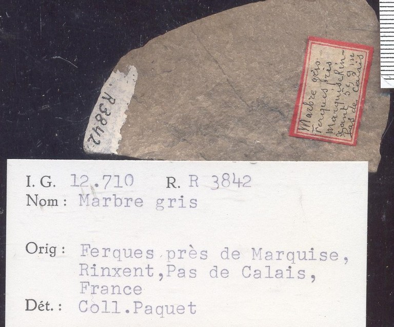 Boulonnais Ferques Marquise Marbre gris RR3842