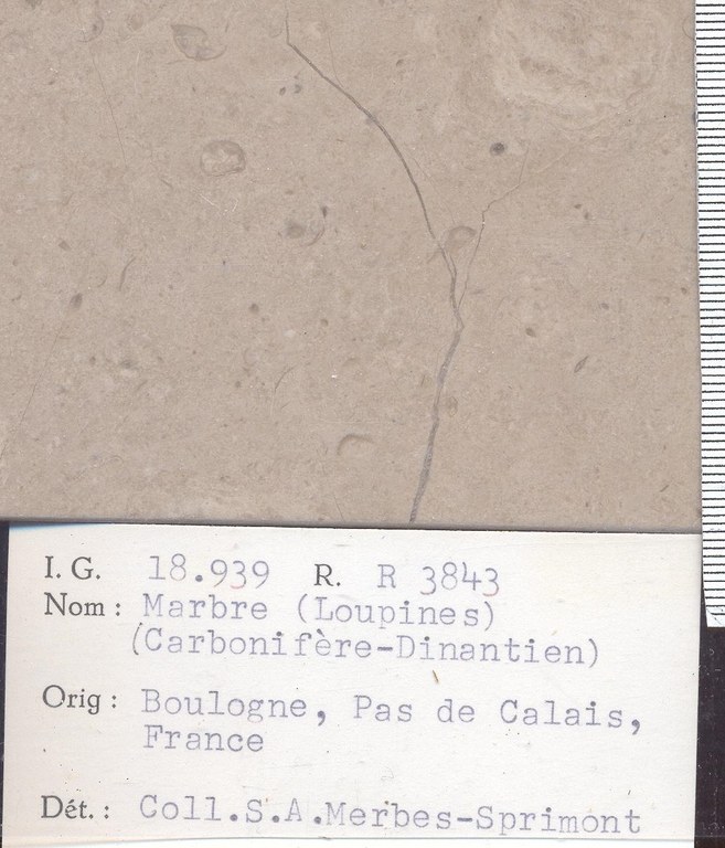 Boulonnais loupines carbonifere dinantien RR3843