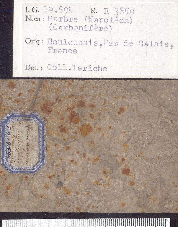Boulonnais Napoleon carbonifere RR3850