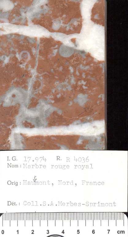 Rouge Royal RR4036