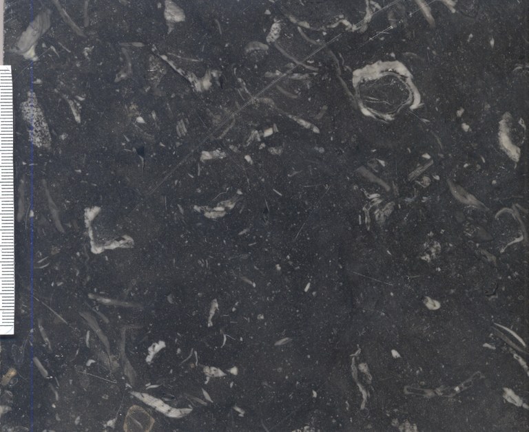 Vitina Black Limestone M1422 