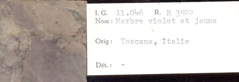Toscane Violet et Jaune RR3922.