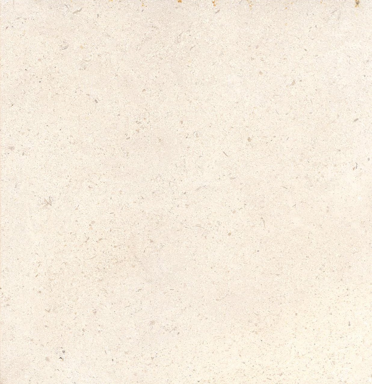 Ancan (Rosal) M459