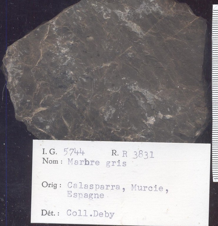 Calasparra Marbre gris RR3831