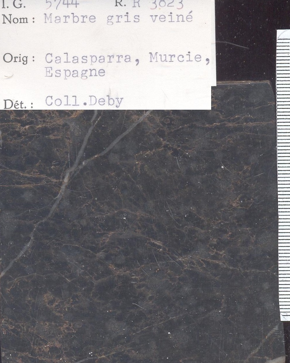 Calasparra Marbre gris veiné RR3823