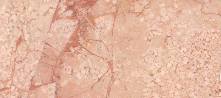 Hazar Pink Fossil M1167 