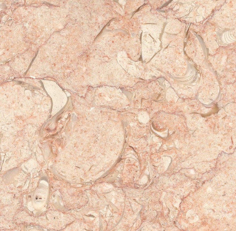 Hazar Pink Fosill M536 