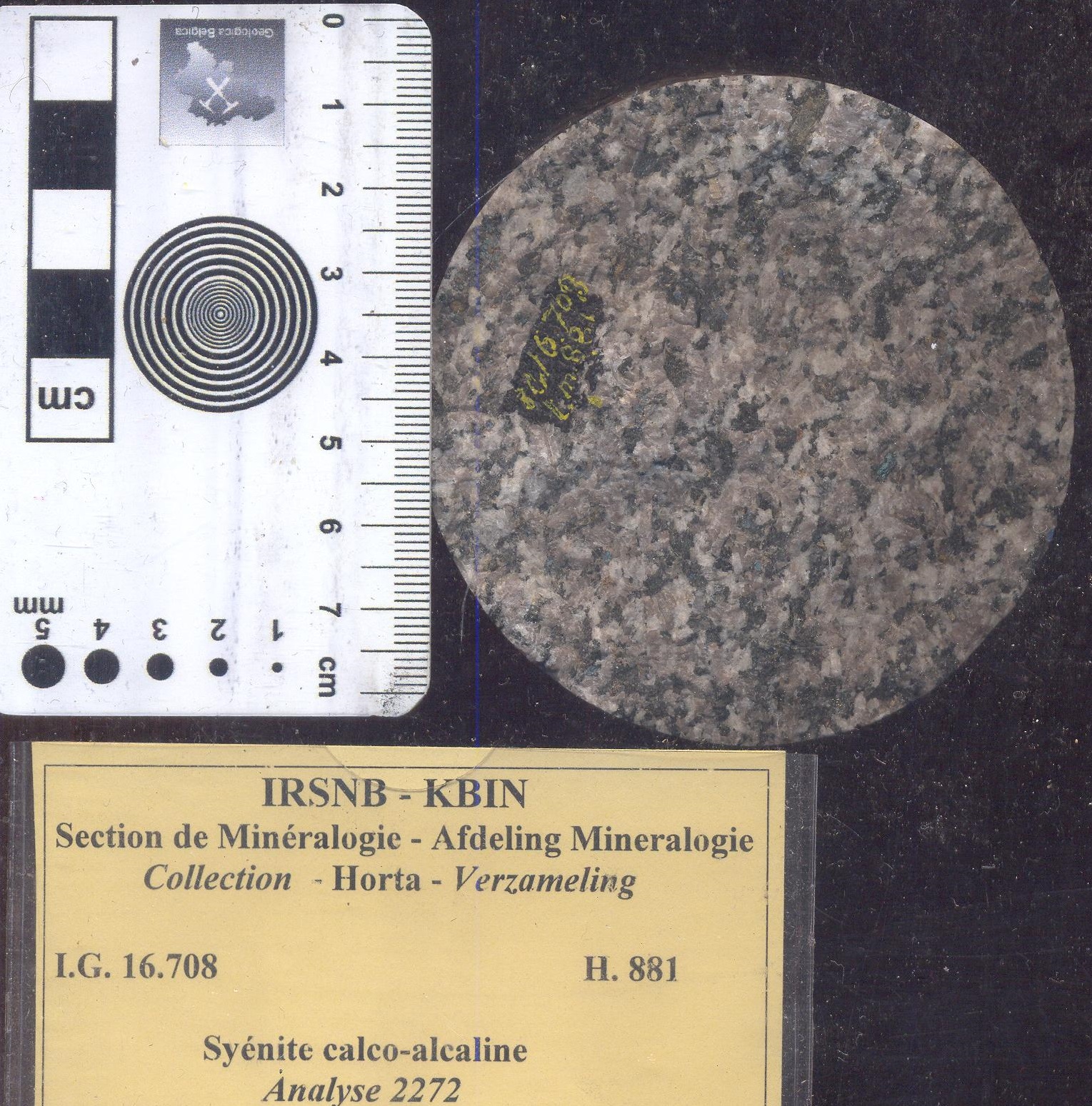 Orthosyenite (kalkalkali syeniet) H881 