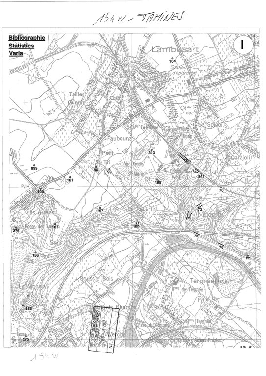 154W_Tamines_Page_1_Image_0001.jpg