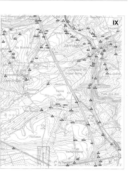 173E_Walcourt_Page_9_Image_0001.jpg
