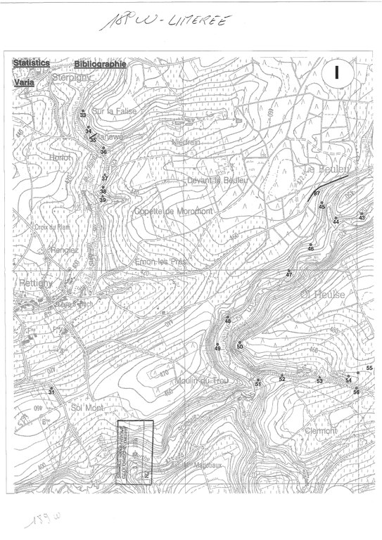 189W_Limerle_Page_1_Image_0001.jpg