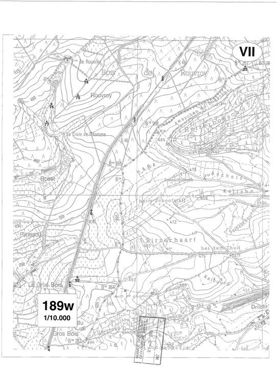 189W_Limerle_Page_7_Image_0001.jpg