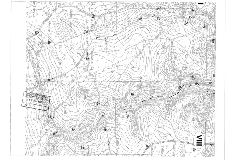 192W_OlloysurViroin_Page_8_Image_0001.jpg