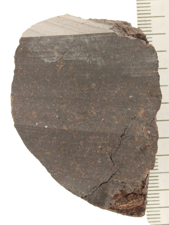 A09244.JPG