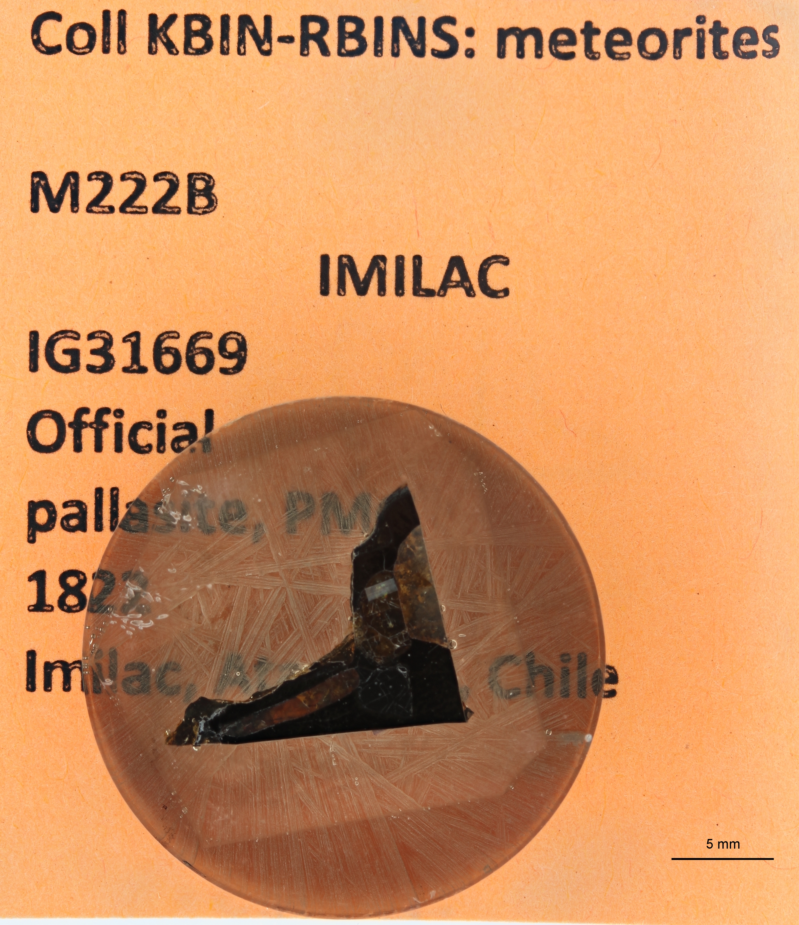M228B ZS PMax.jpg