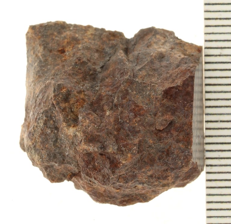 A09515-2.JPG
