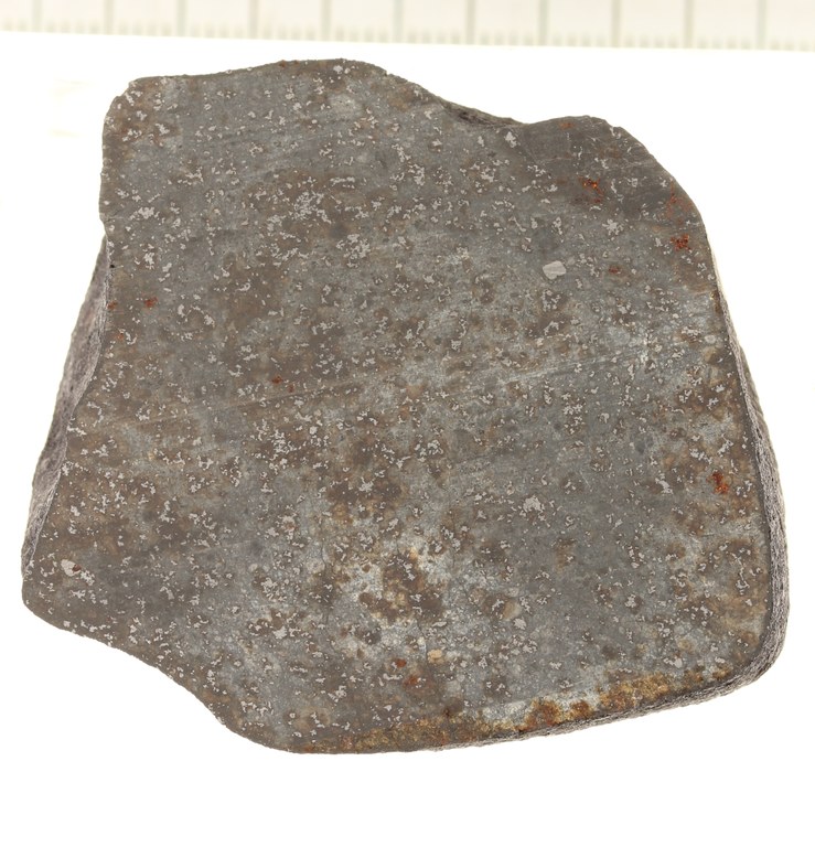 A10185.JPG