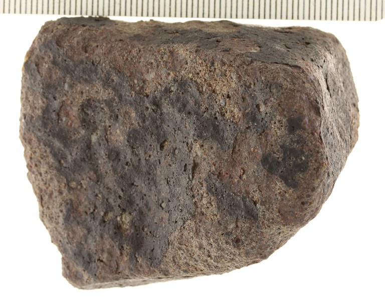 A10201.JPG