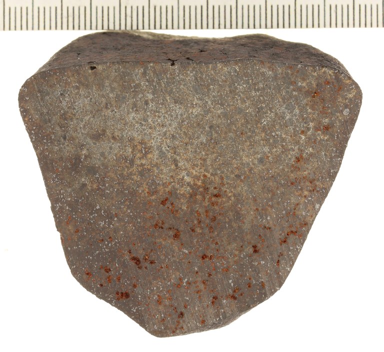 A12136.JPG