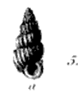 Fig.5 - Scala subcylindrica