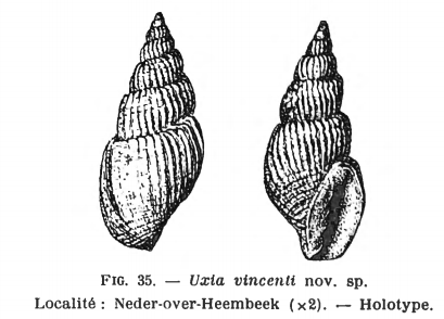 Fig. 35