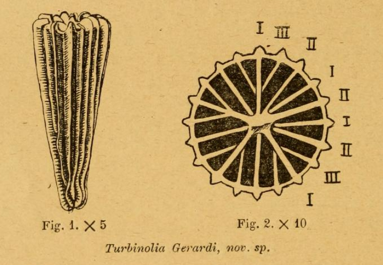 Fig. 1-2