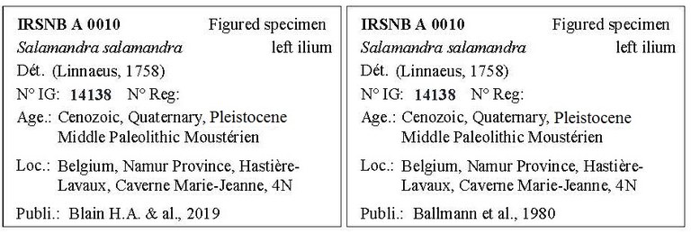 IRSNB A 0010 Labels