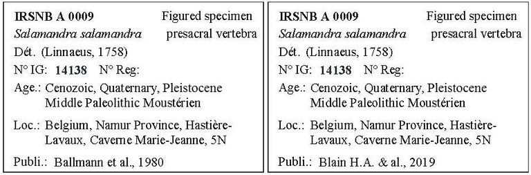 IRSNB A 0009 Labels