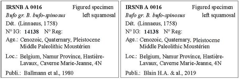 IRSNB A 0016 Labels